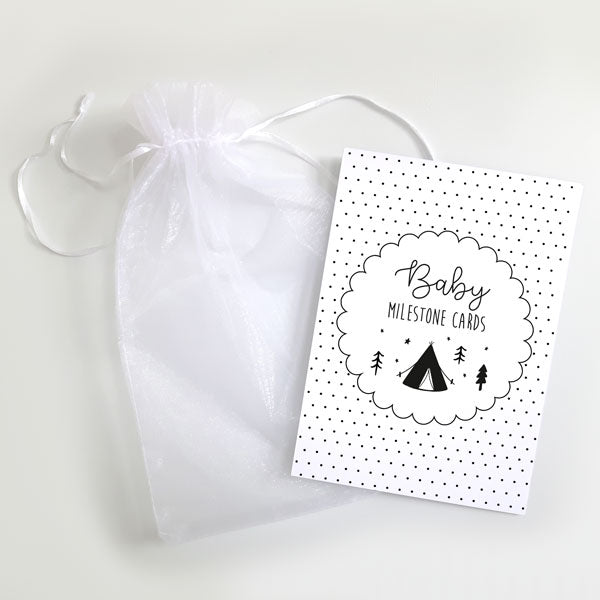 Baby Milestone Cards Ages - Pack of 17 - The Adventure Begins