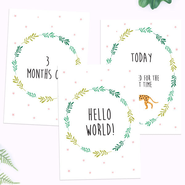 My First Year Milestone Cards - Girls Go Wild - Fast Delivery at Dotty ...