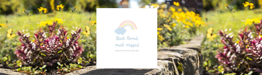 Pet Sympathy Cards