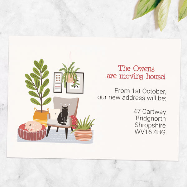 Address Cards - House Cats - Pack of 10