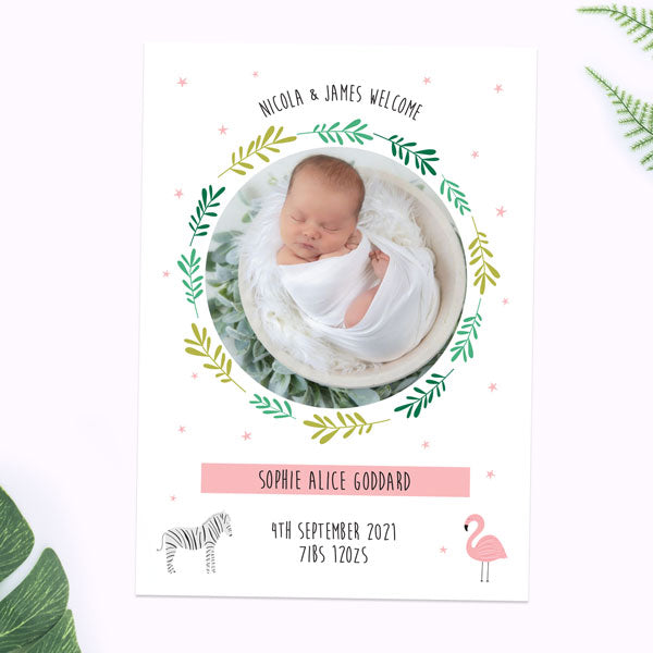 Baby Announcement Cards - Girls Go Wild - Pack of 10
