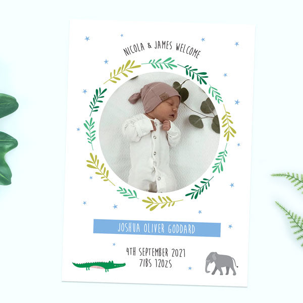 Baby Announcement Cards - Boys Go Wild - Pack of 10