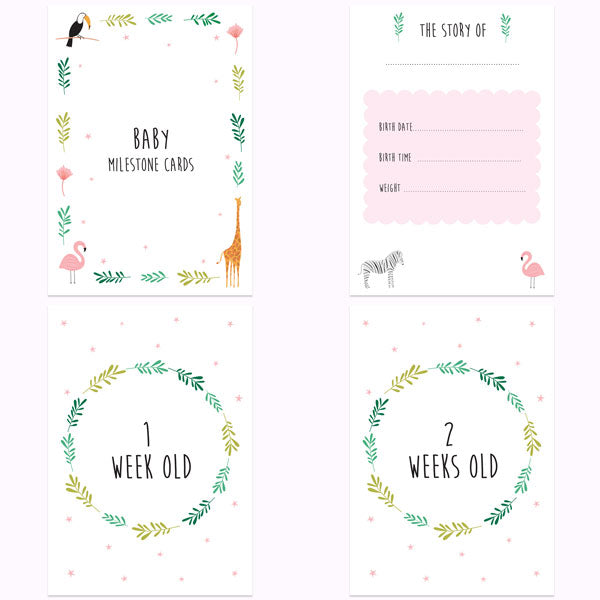 My First Year Milestone Cards - Girls Go Wild