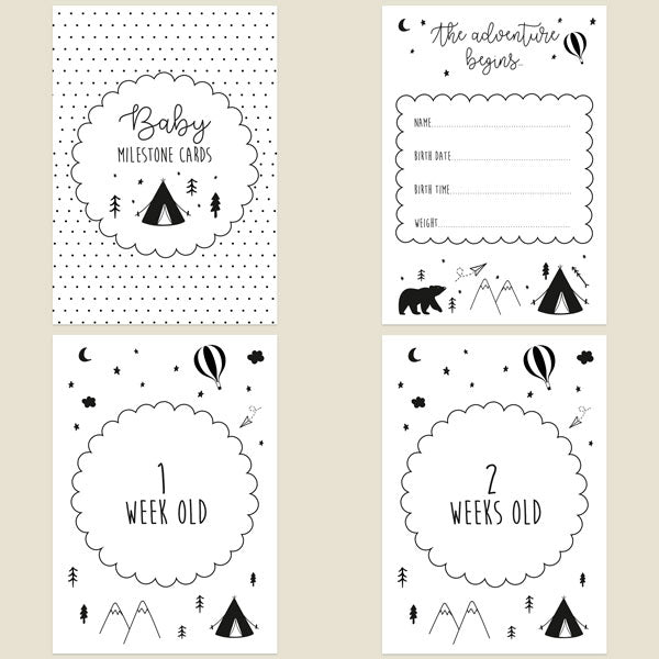 Baby Milestone Cards Ages - Pack of 17 - The Adventure Begins