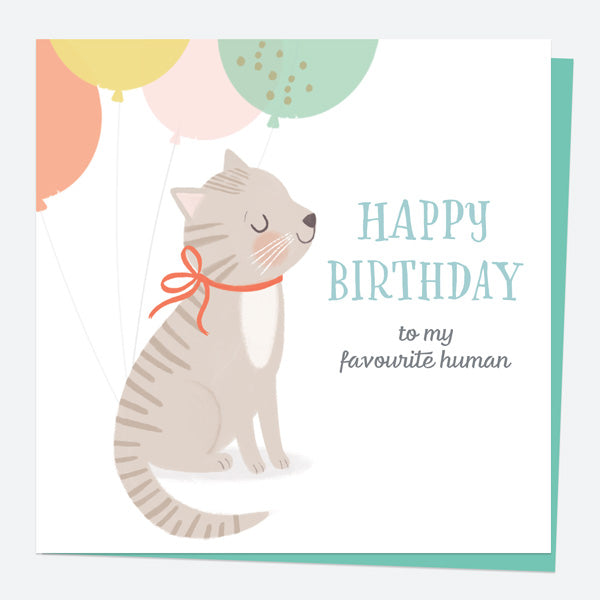 Cat Birthday Card - To My Favourite Human