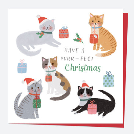 Christmas Card - Santa Paws - Purr-fect Christmas