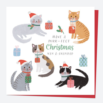 Personalised Single Christmas Card - Santa Paws - Purr-fect Christmas - Nan & Grandad