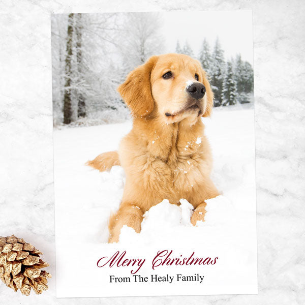 Personalised Christmas Cards - Dog Use Your Own Photo - Pack of 10