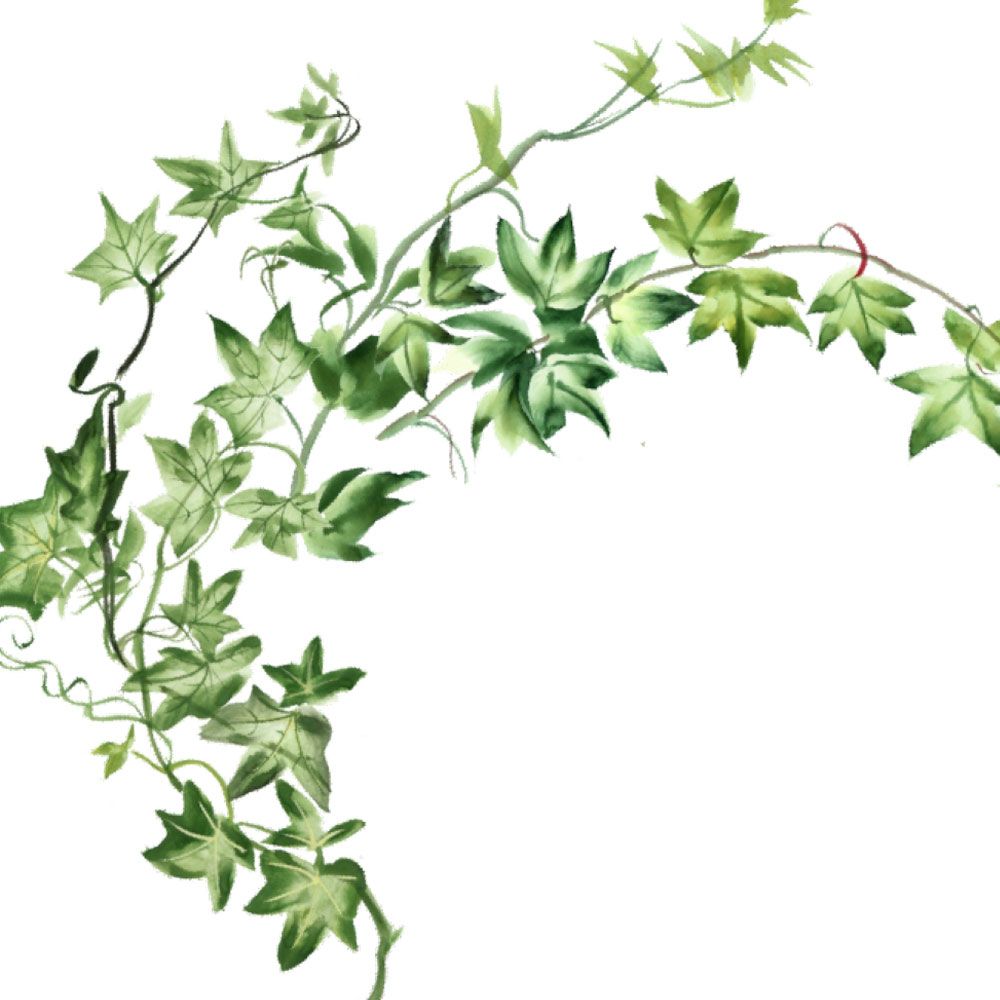 Ivy Garland - Favour Tag