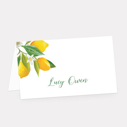 Lemon Citrus Place Card