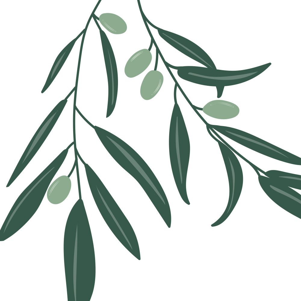 Olive Sprig Tri Fold Sample