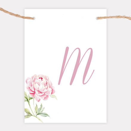 Pretty Pink Peony - Iridescent Bunting