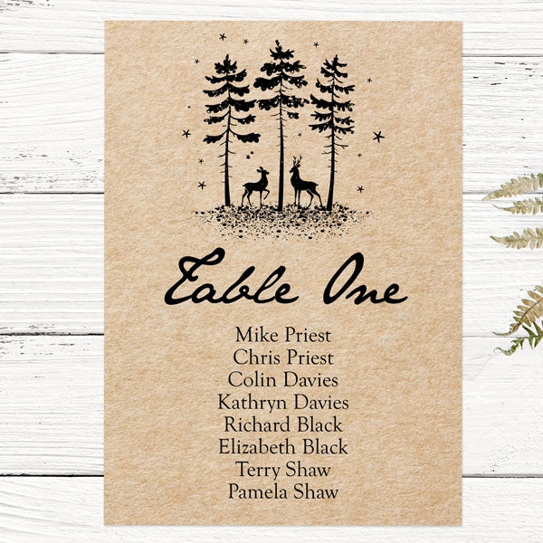 Rustic Winter Woodland - Table Plan Cards