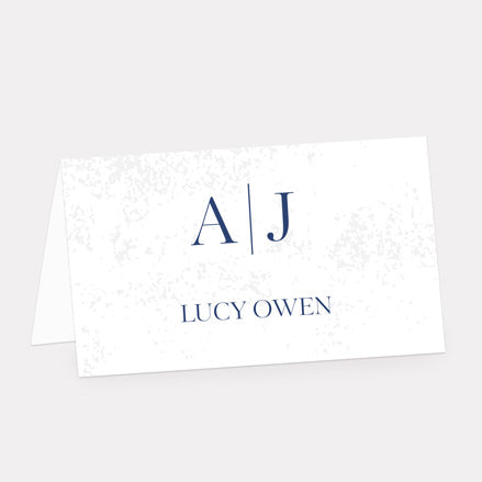 Textured Simplistic Monogram Iridescent Place Card