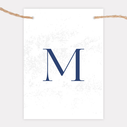 Textured Simplistic Monogram - Iridescent Bunting