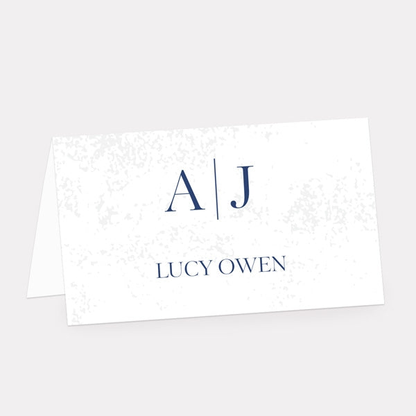 Textured Simplistic Monogram Iridescent Place Card