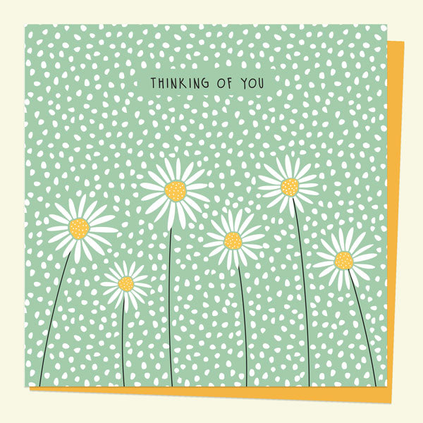 Thinking of You Card - Oopsy Daisies - Thinking of You